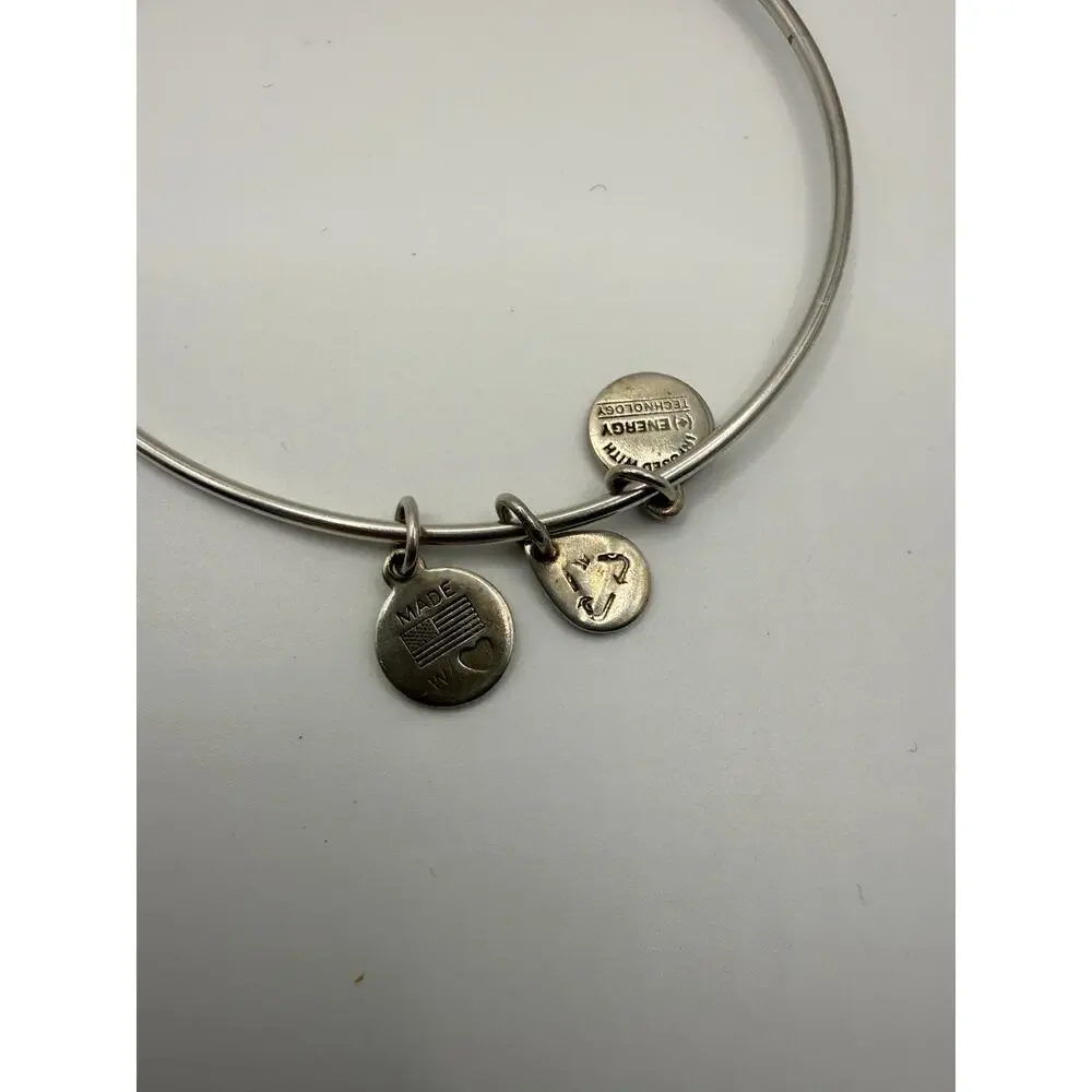 Alex and Ani Dolphin Charm Bangle Bracelet